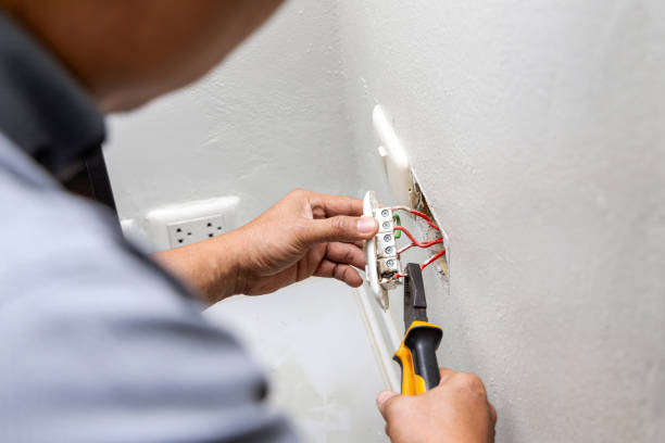 Best Electric Panel Repair  in Abbeville, LA